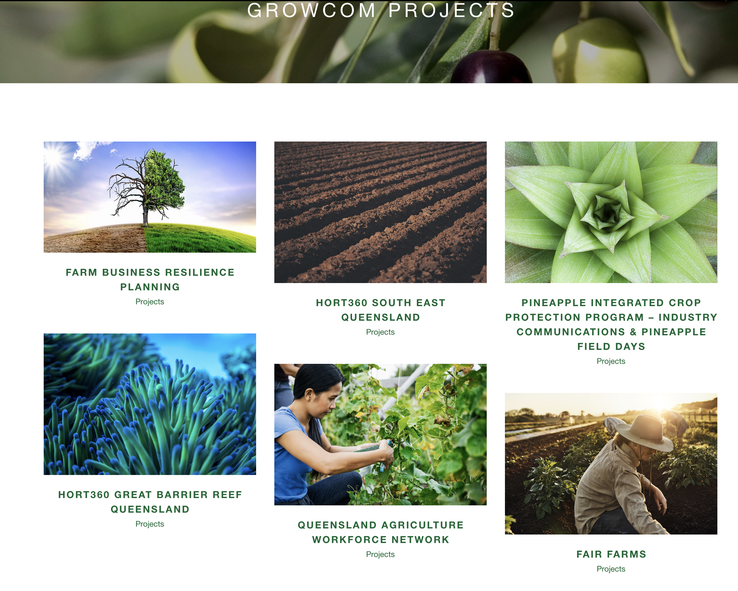 Screen-Shot-2023-07-02-at-114259-am