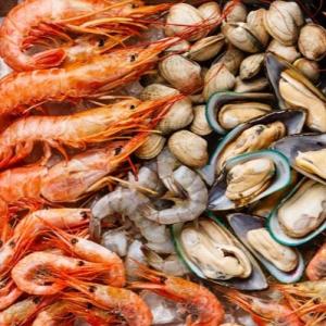 Seafood