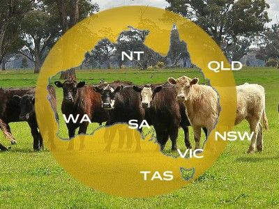 State Export - Agri/Food