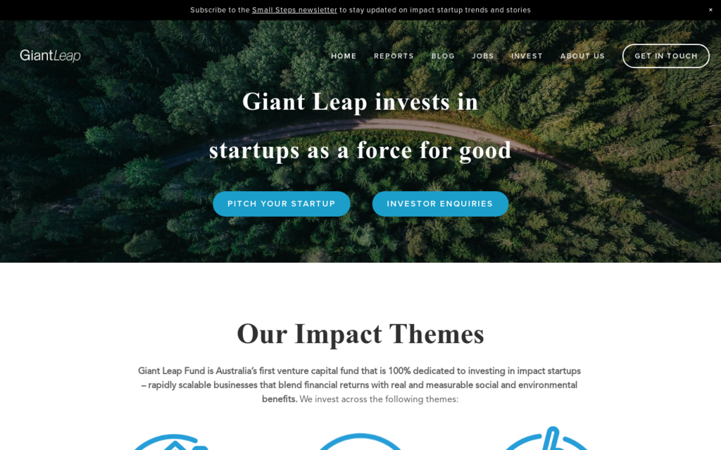 Giant Leap Fund