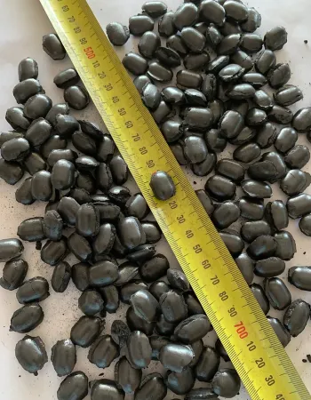 Pelletization Product 1