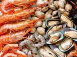 Seafood